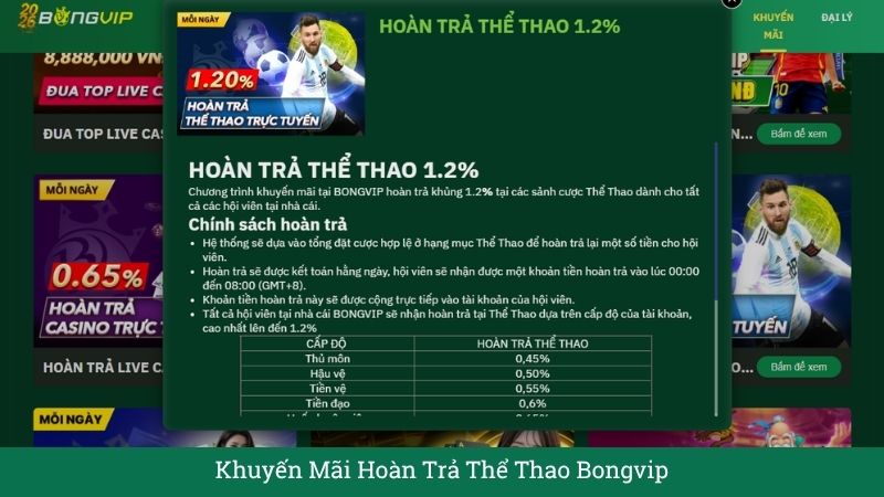 Khuyến Mãi Hoàn Trả Thể Thao Bongvip – Tỷ Lệ Cực Khủng Lên Đến 1.2%